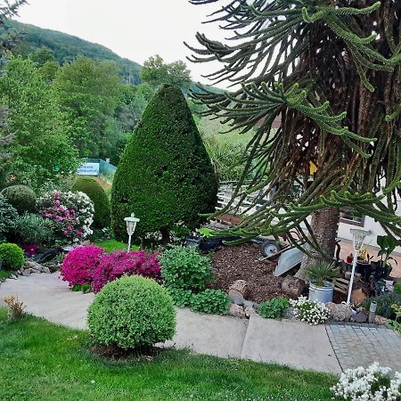 Evia Ferienwohnung Heimbach Bagian luar foto