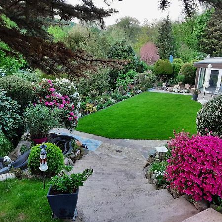 Evia Ferienwohnung Heimbach Bagian luar foto