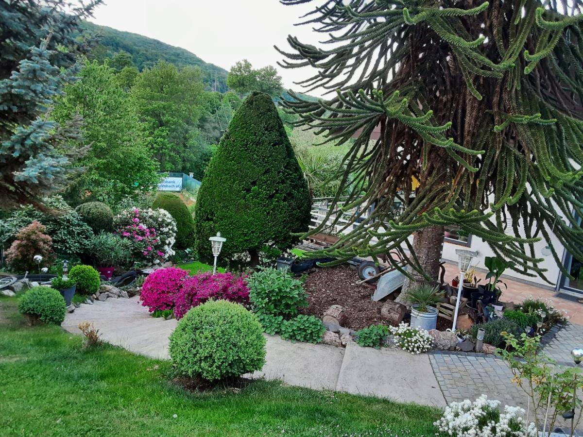 Evia Ferienwohnung Heimbach Bagian luar foto