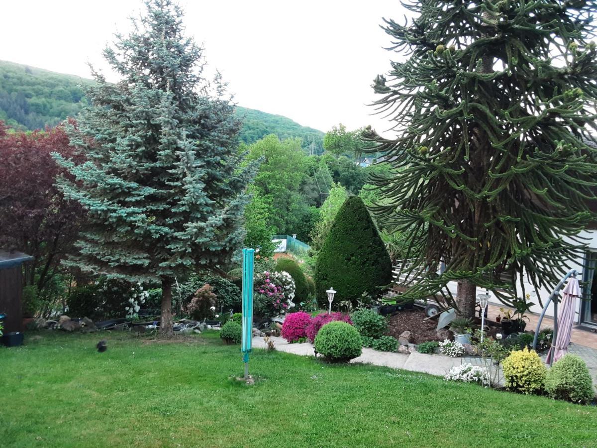 Evia Ferienwohnung Heimbach Bagian luar foto