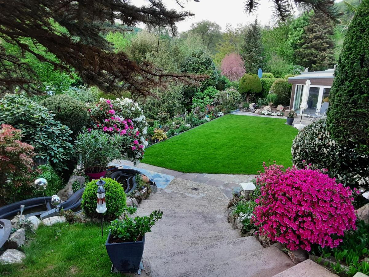 Evia Ferienwohnung Heimbach Bagian luar foto